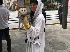 -秋叶原电器街