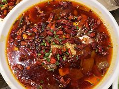 毛血旺-庆合府重庆大排档(紫都城店)