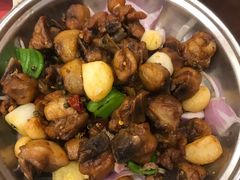 -刘胖子家常菜·蹄花焖藕(中南店)