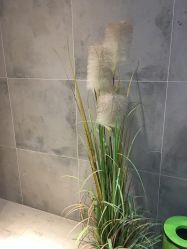 -苗方清颜·祛痘皮肤管理