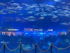 -成都浩海立方海洋公园