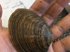 -澜悦港海鲜体验主题餐厅