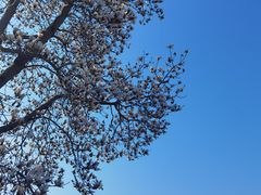 -白塘生态植物园