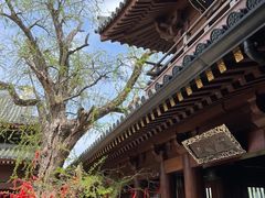 -昭山风景名胜区