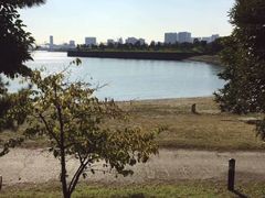 -台场海滨公园船码头