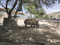 -新疆天山野生动物园