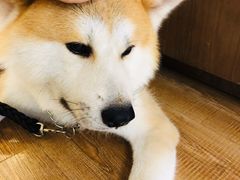 -YCHL Studios健身工作室(市二宫店)