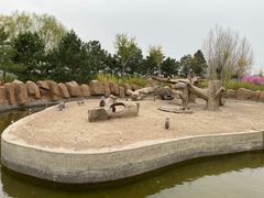 -齐齐哈尔龙沙动植物园