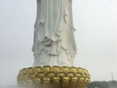 -白洋淀景区