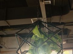 大堂-洪氏嗨捞·广东猪肚鸡·椰子鸡火锅(西咸万象城店)