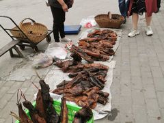 -后柳水乡