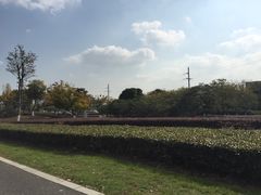 -九里河湿地公园