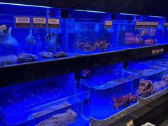 -協成海鮮火鍋(老店)