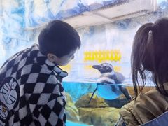 -常州海昌海洋探索馆
