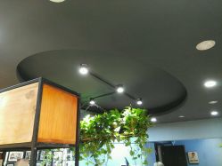 -藤野造型