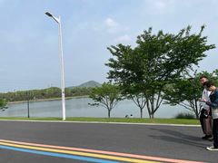 -羊山湖公园