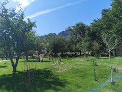 -新疆天山野生动物园