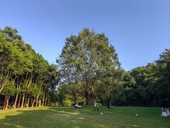 -深圳仙湖植物园