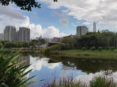 -福田红树林生态公园