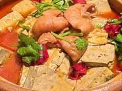 臭豆腐肥肠煲-小厨娘金榜题名(夫子庙秦淮河店)