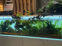 -剪刀石头布家居广场