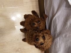 -北平小馆·烤鸭·家常菜(磨房北里店)