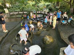 -成都市活水公园