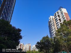 -新江湾城公园