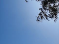 -海南铜鼓岭景区