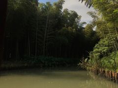 -同里国家湿地公园