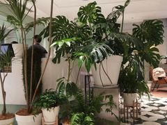 大堂-一尺花园(安和花园店)