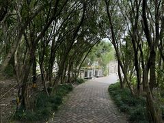 -上海吴淞炮台湾国家湿地公园