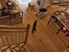 -猫的天空之城概念书店(苏州平江店)