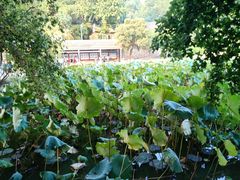 -韶山毛泽东同志故居