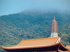 -深圳仙湖植物园