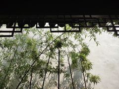 -黎里古镇