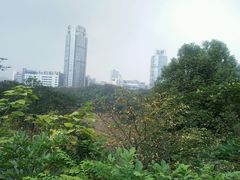 -百林公园-两江幸福广场