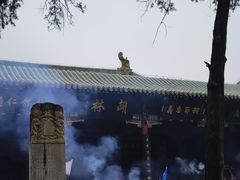 -关林