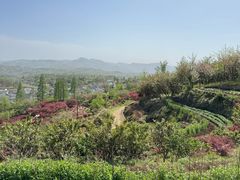 -四明山国家森林公园