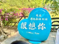 -西双版纳原始森林公园