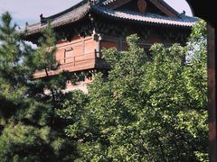 -善化寺