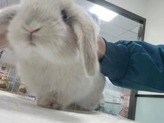 -嘉馨宠物医院·CT影像转诊·心脏科·犬猫全科诊疗中心(下沙大学城院区)