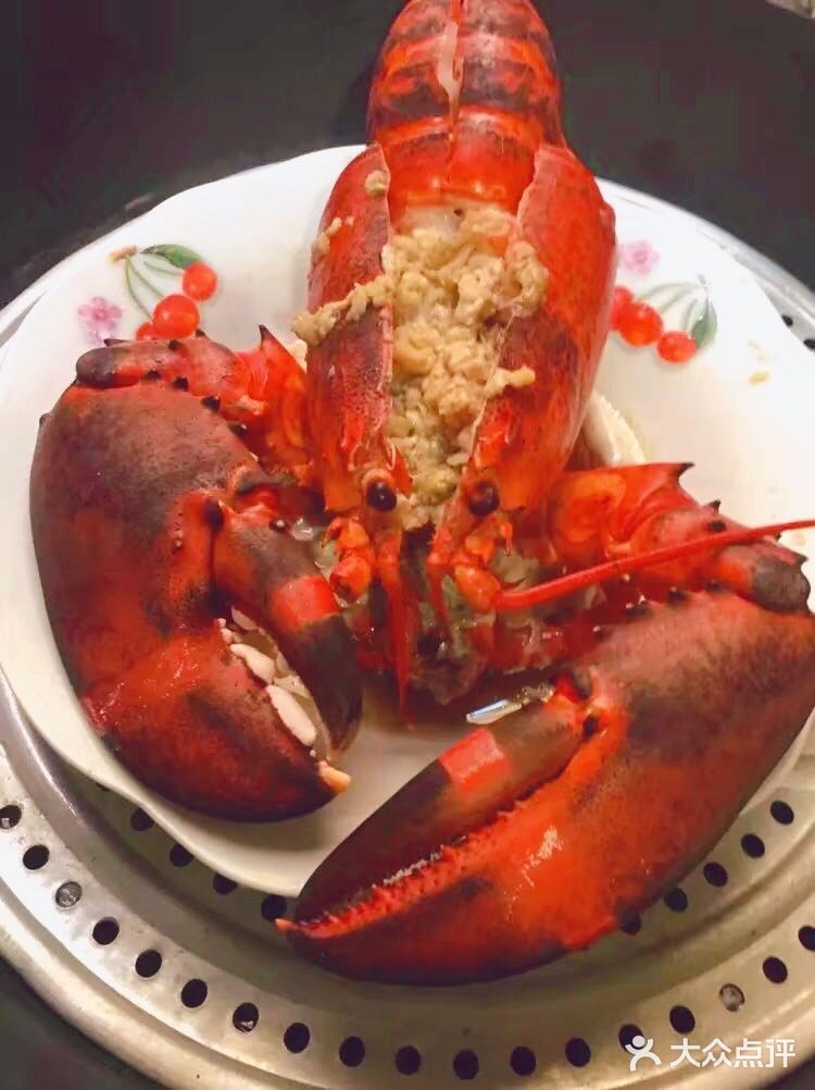 跟我一起学做菜～清蒸波士顿大龙虾🦞