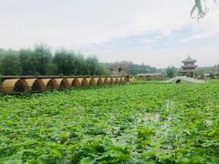 -渭南桃花源民俗文化园