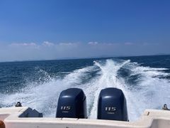 -放鸡岛生态旅游国际度假区