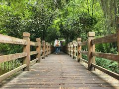 -龙头寺公园