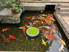 -馨园villa融合菜(东山店)