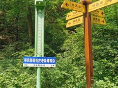 -老象峰