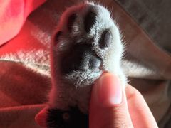 -五道口枣糕王(成府路店)