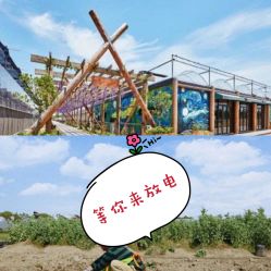 -麦粒鸟亲子游